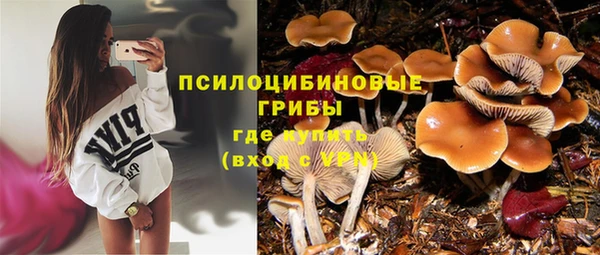 Альфа ПВП Лиски