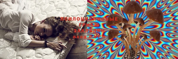 mdpv Липки